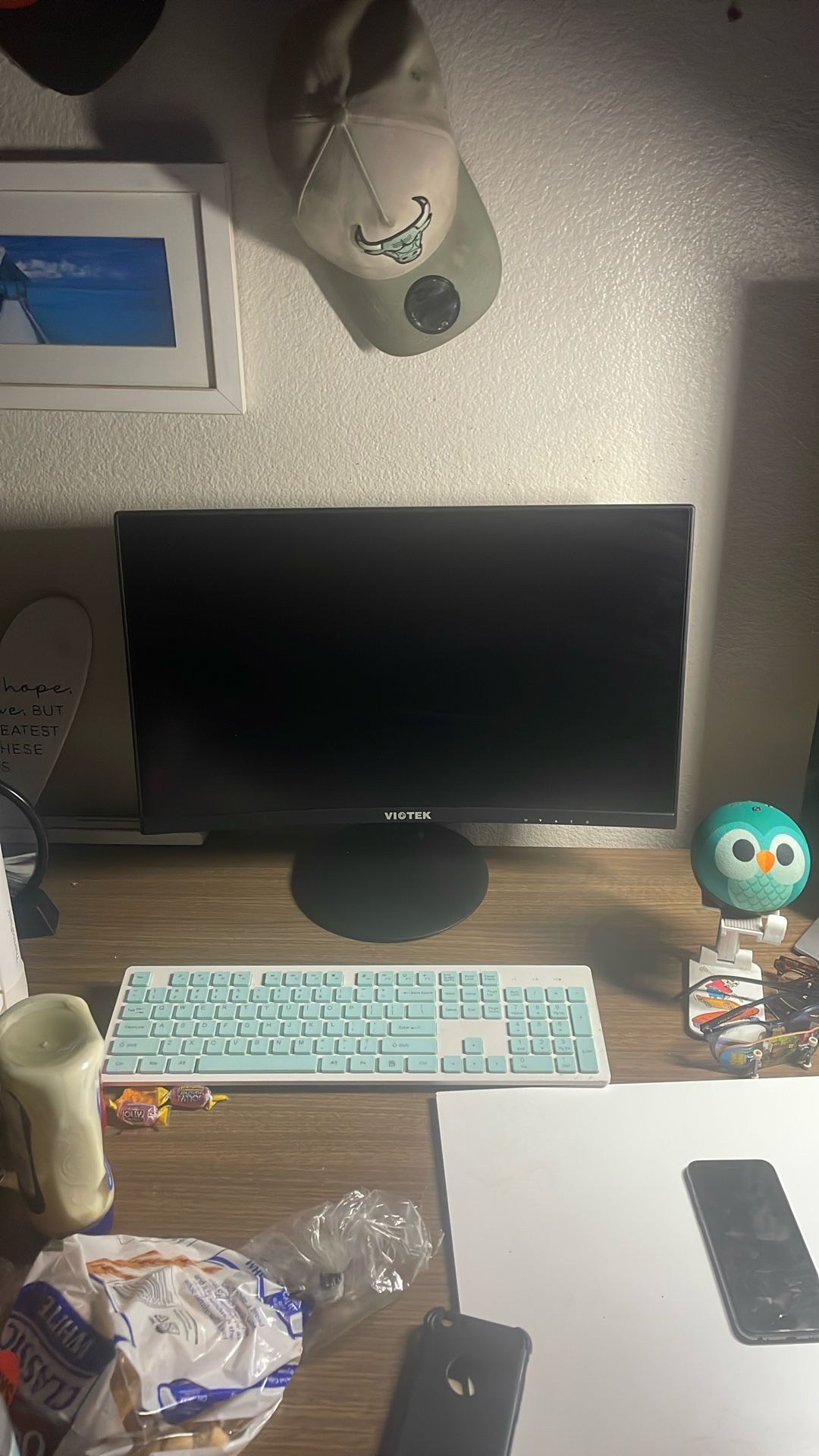 Viotek Computer Monitor