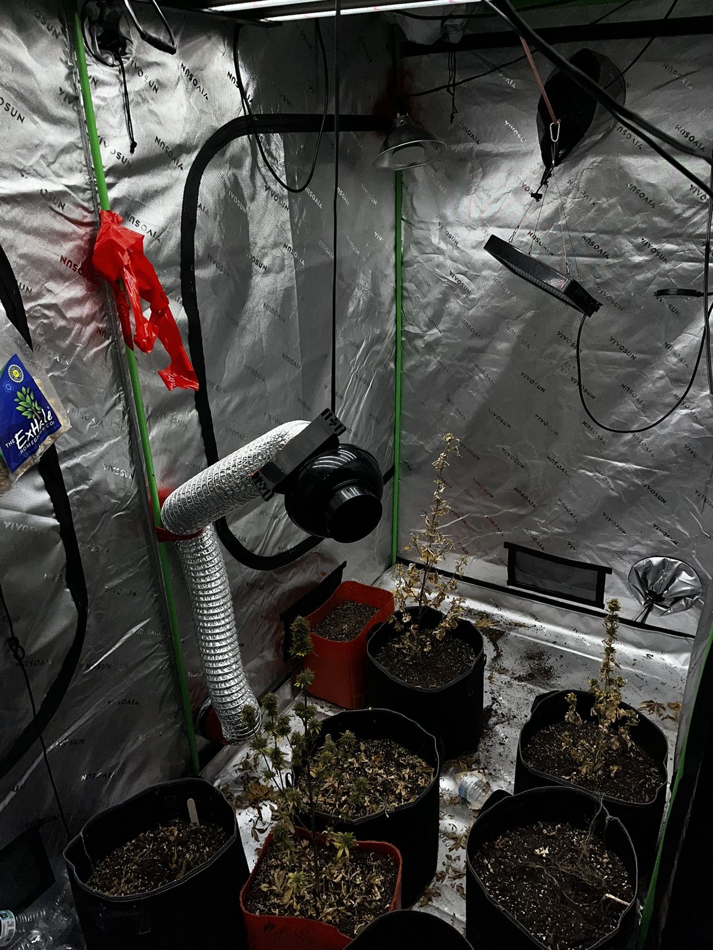 Vivosun Tent And All Equipment