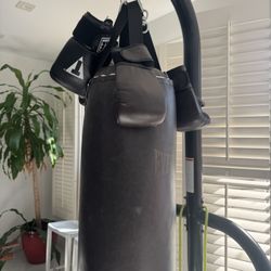 Everlast Punching Bag