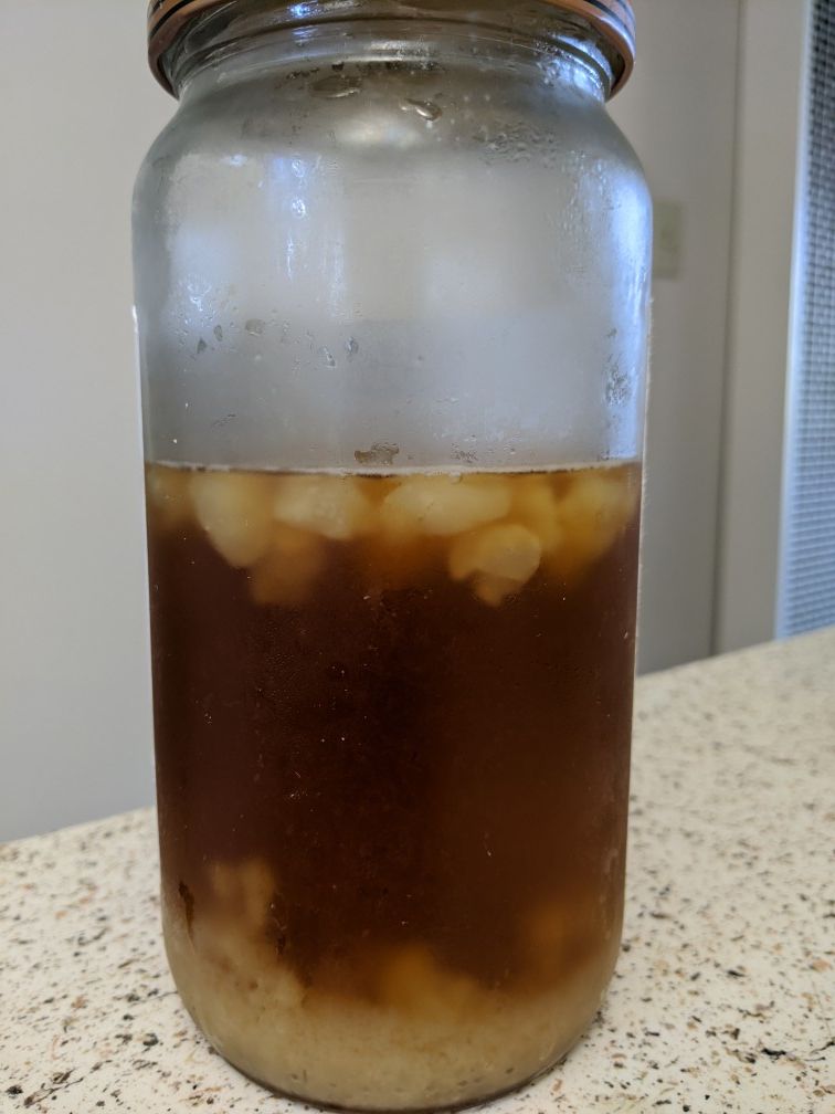Live Water Kefir Grains