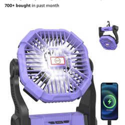 Portable Small Camping Fan/light 