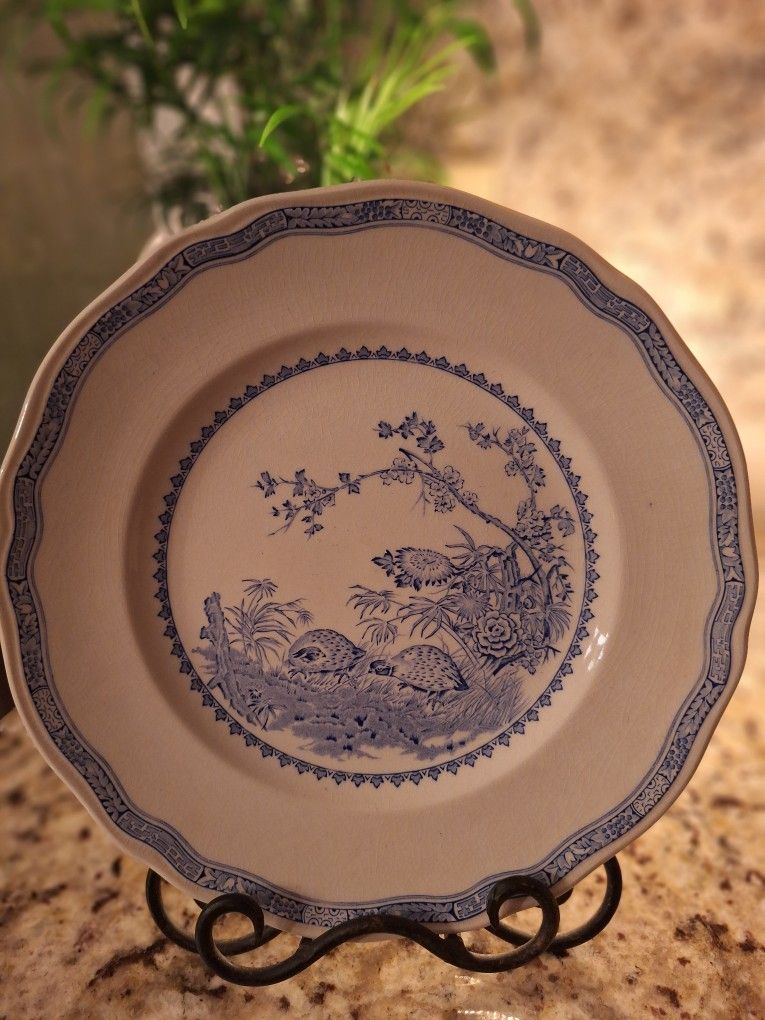 
Quail Blue (Round Quail Backstamp)
by Furnivals England Dishes 