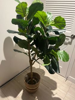 Fake indoor plant