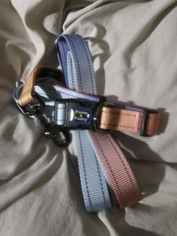 Dog Collar And Leash