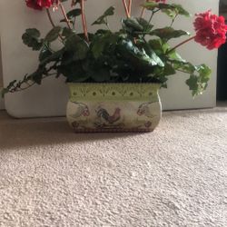 Red Geranium Planter