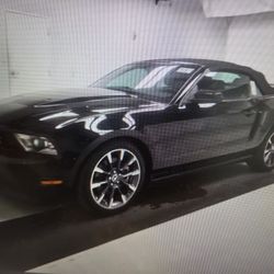 412hp Mustang Gt Triple Black Comvertible 6 Speed