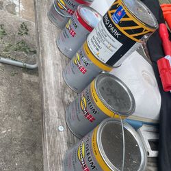 Rust-oleum Stripping Paint