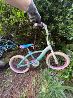 Free bikes