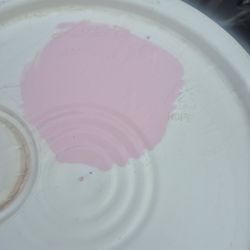 Pintura Nueva Color Rosa Hermoso .pa Interior $95