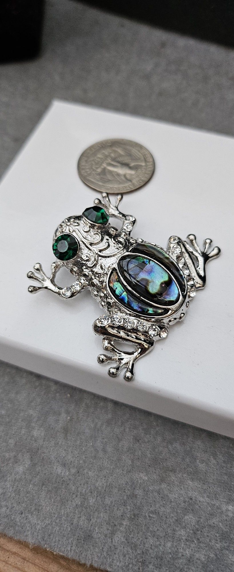 Genuine Abalone Shell Frog 🐸 