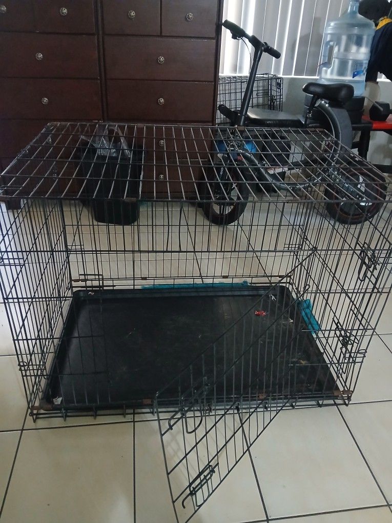 Portable Dog Crate