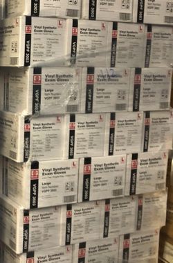 Basic Vinyl Gloves LA, MoQ of 20 cases