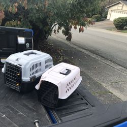 Small Dog Cat Rabbit Bunny Kennel Crate Carrier Like New 20” L by 10” W by 10” H $20 Each 