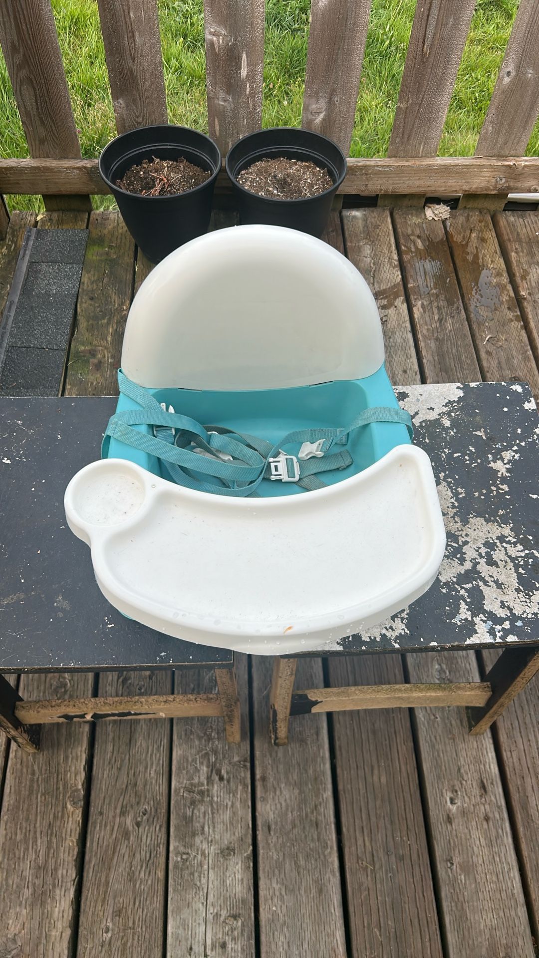 Baby Booster Seat Can Strap To Chair FREE!