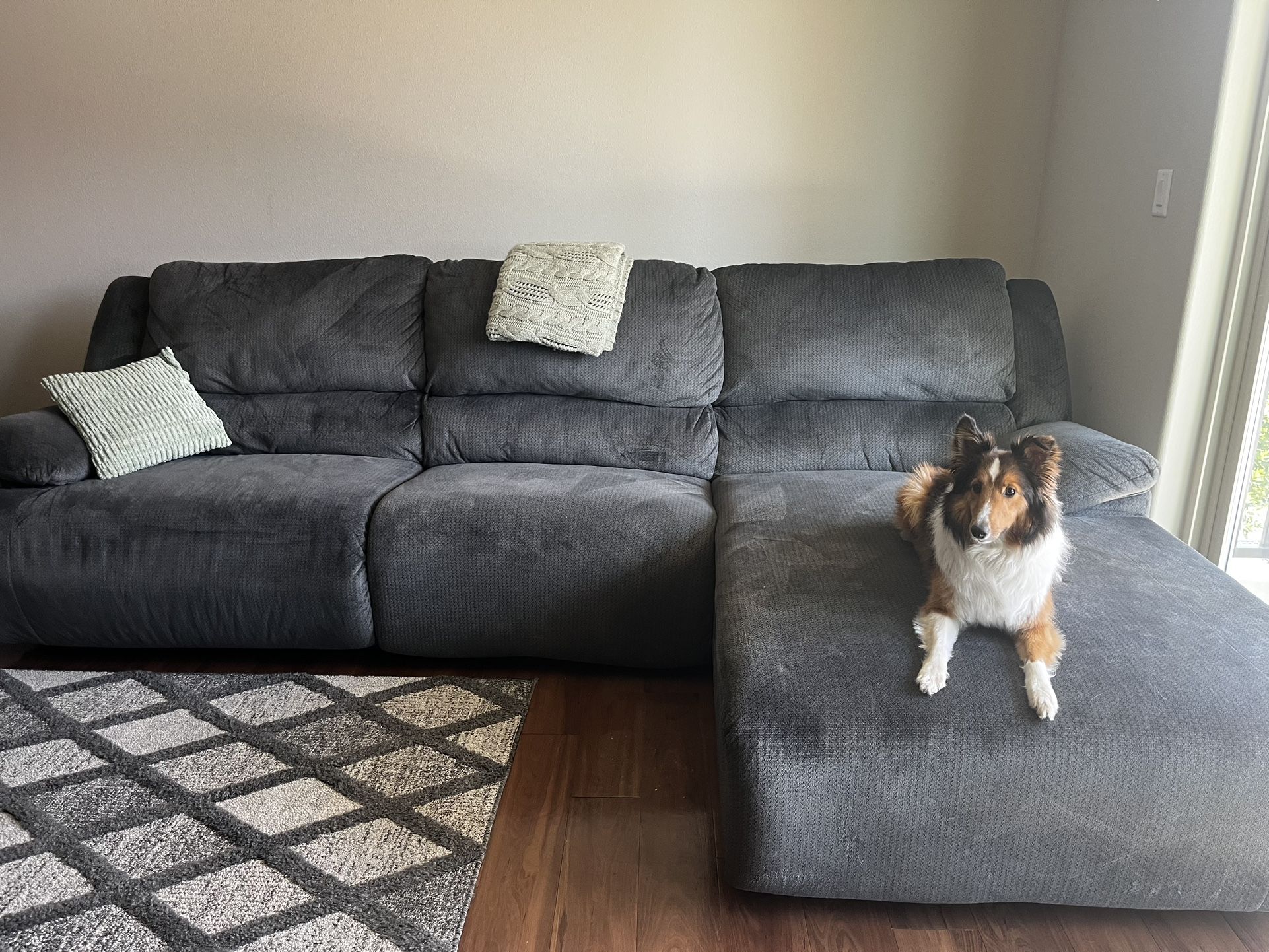 Dual Power Reclining Couch // Grey
