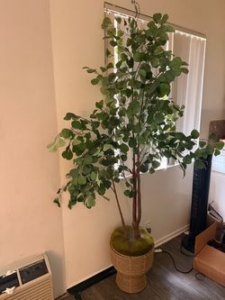 Large Artificial Eucalyptus Tree with Basket