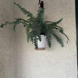 Hanging Fake Plants