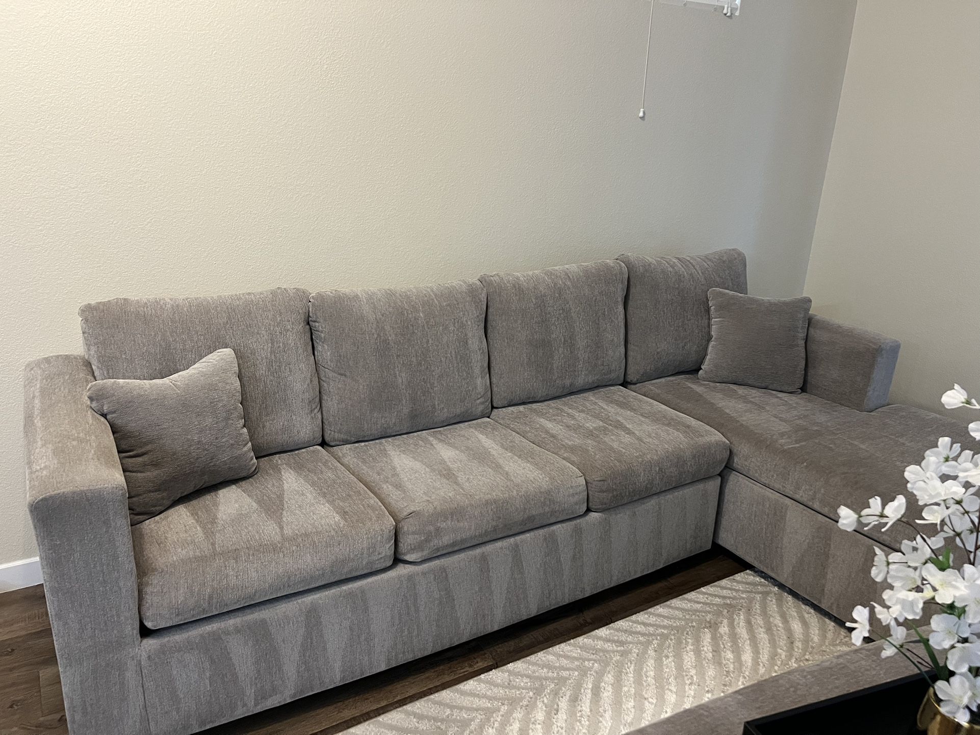 Sectional Couch