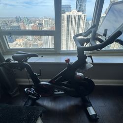 Slightly used Peloton Bike