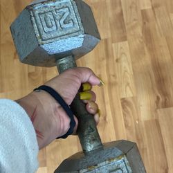 20 Pound Dumbbell 