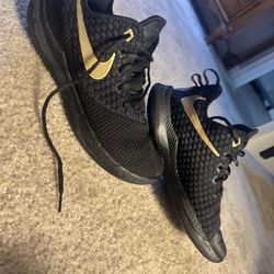 Nike LeBron Witness 5 Size11