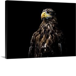 Eagle Wall Art 60" x 45" Canvas New In Packaging I