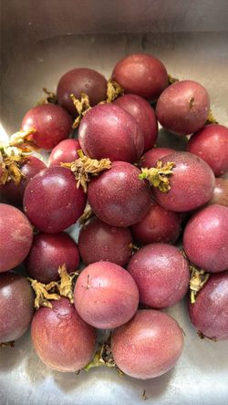 Fresh, Vine-Ripened Passionfruit for Sale – $1 Each