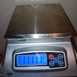Big Scale My Weigh Brand