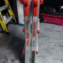 Little Giant Ladder IAA 17 Model 