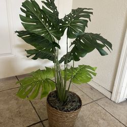 Artificial Plant 32'