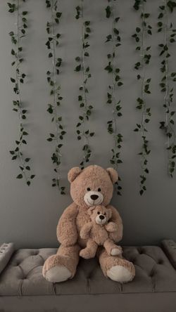 teddy Bear