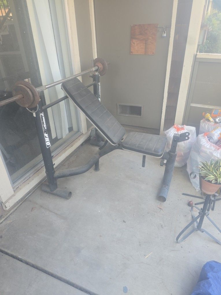 Standard Weight Bench With Weights