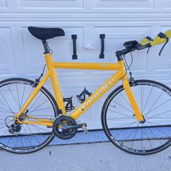 Quintana Roo Road Bike