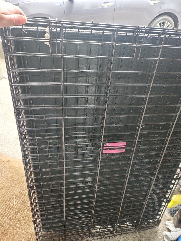 42 Inch Wire Dog Crate