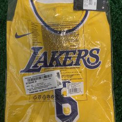 Kids Size Nike XL LA Lakers Lebron James Jersey 6 Brand New With Tags