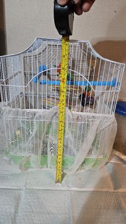 bird cage 15x11