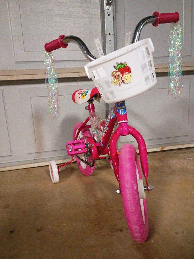 Toddler Bike