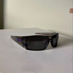 Oakley Team USA Heliostat Sunglasses Prizm Lens