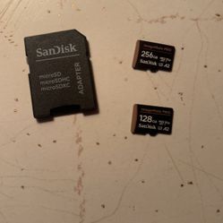 Sandisk Micro SD Image mate Pro