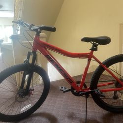 Mountain Bike