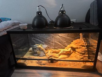 Large Reptile Terrarium with Basking Lamps