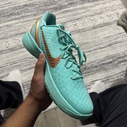 JALEN BRUNSON KOBE 6’S