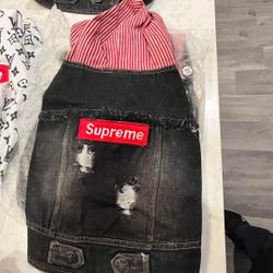 Designer Doggy Clothes 