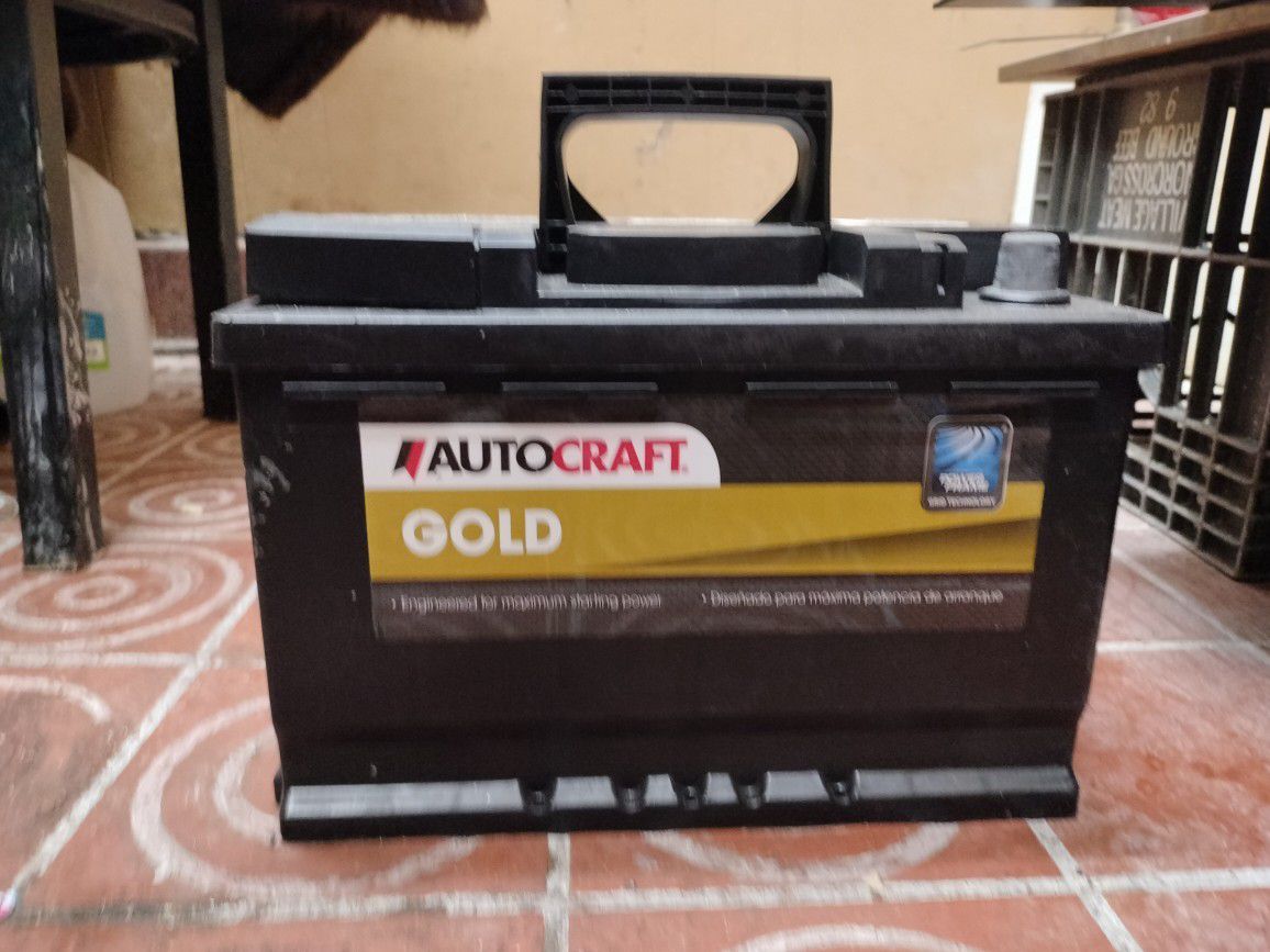 Autocraft Gold Car And Truck Battery 