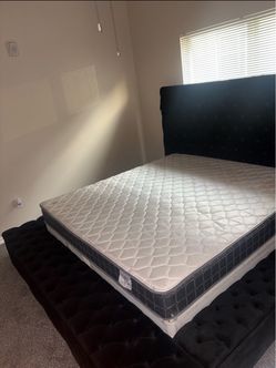 King Platform Bed