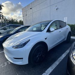 2024 Tesla Model Y Long Range AWD – 7 Seats – Pearl White / Black & White – 15K Miles – Clean