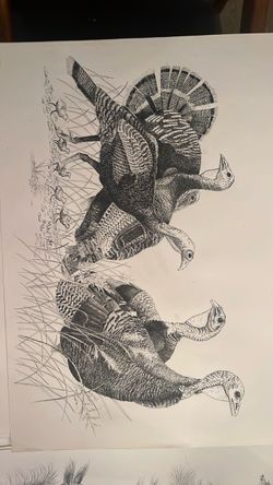Turkeys original