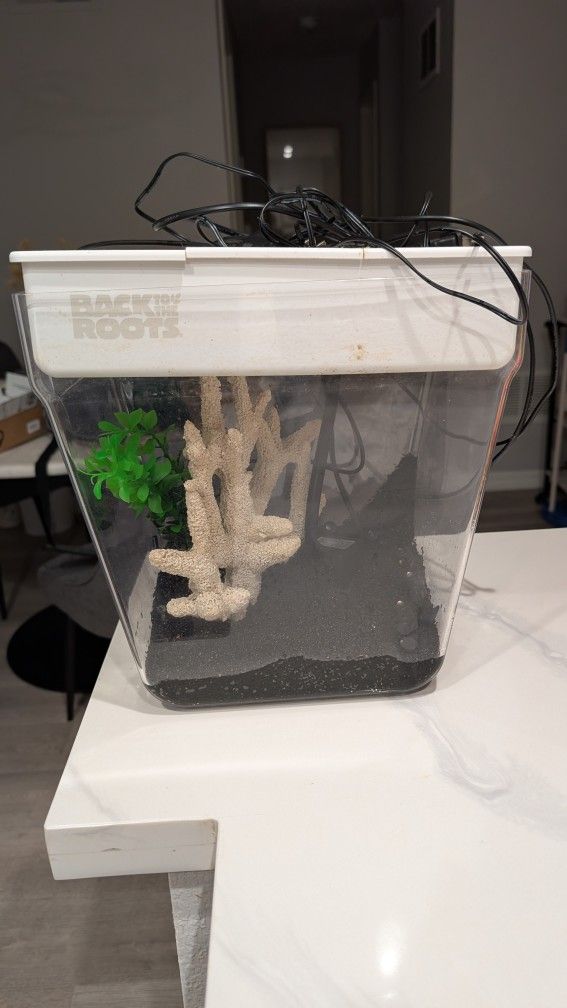 Back To The Roots 5 Gallon Fish Tank 