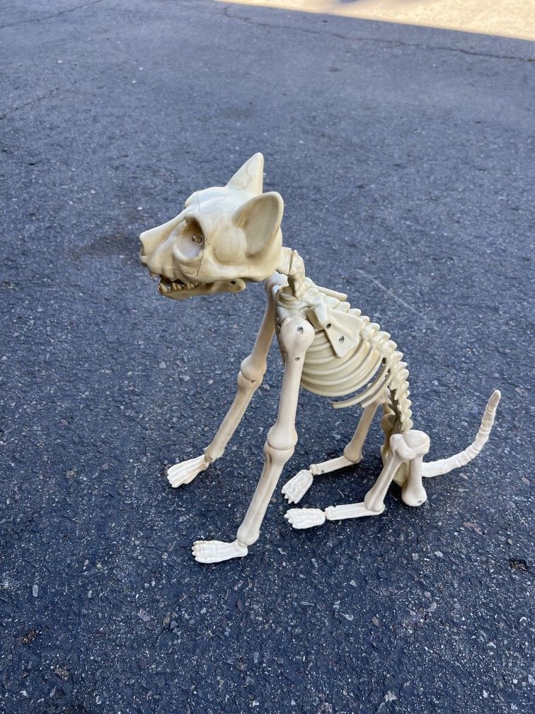 Graveyard Cat