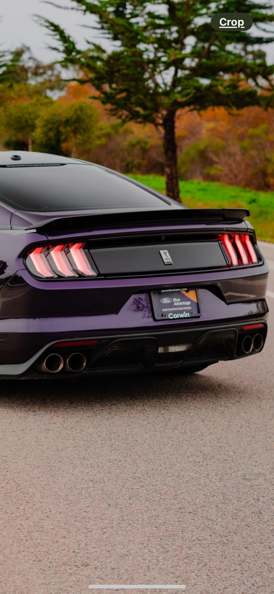 shelby gt350 track pack spoiler